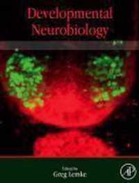 Developmental Neurobiology