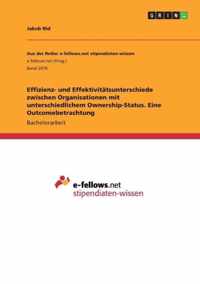 Effizienz- und Effektivitatsunterschiede zwischen Organisationen mit unterschiedlichem Ownership-Status. Eine Outcomebetrachtung