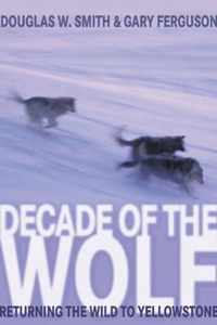 Decade of the Wolf