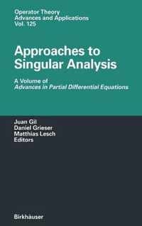 Approaches to Singular Analysis