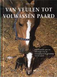 Van Veulen Tot Volwassen Paard