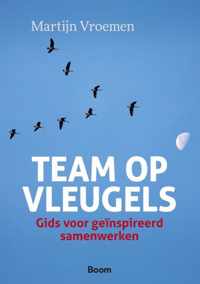 Team op vleugels - M. Vroemen - Paperback (9789013066005)