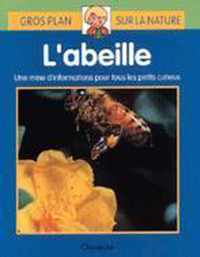 Gros plan sur la nature 12. l' abeille