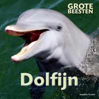 Grote Beesten  -   Dolfijn