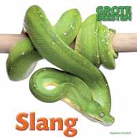 Grote Beesten  -   Slang