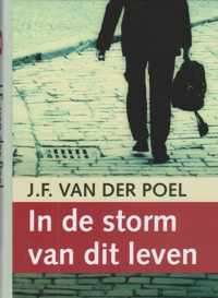 Grote letter bibliotheek 2505 -   In de storm van het leven