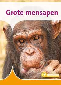 Informatie 137 -   Grote Mensapen