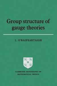 Group Structure of Gauge Theories