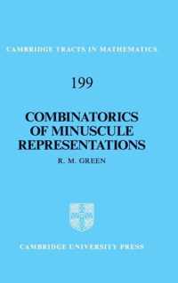 Combinatorics Of Minuscule Representations