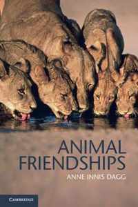 Animal Friendships