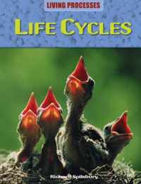 Life Cycles