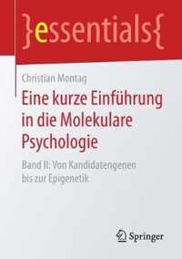 Eine kurze Einfuhrung in die Molekulare Psychologie: Band II