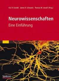 Neurowissenschaften