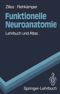 Funktionelle Neuroanatomie