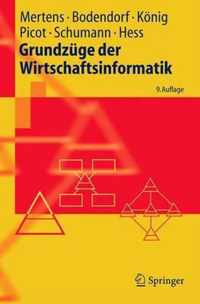 Grundzuge Der Wirtschaftsinformatik