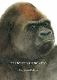 Bericht Van Bokito