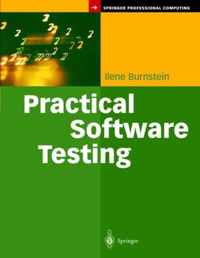 Practical Software Testing: A Process-Oriented Approach