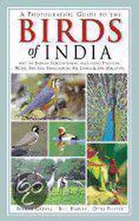 A Photographic Guide to the Birds of India