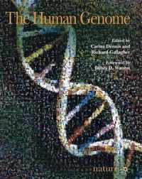 The Human Genome