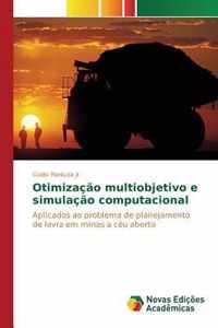 Otimizacao multiobjetivo e simulacao computacional