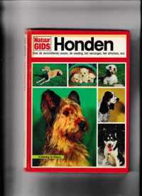 Honden