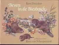 Bevers in de biesbosch