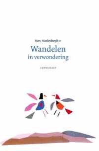 Wandelen in verwondering