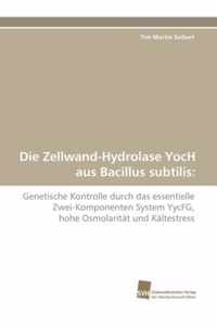 Die Zellwand-Hydrolase Yoch Aus Bacillus Subtilis