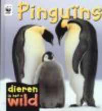 Pinguins