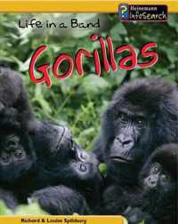 Life in a Band of Gorillas