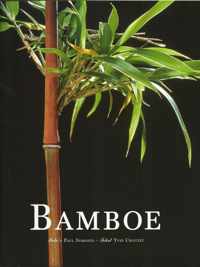 Bamboe