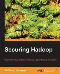 Securing Hadoop