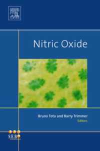 Nitric Oxide