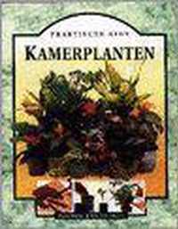 Kamerplanten