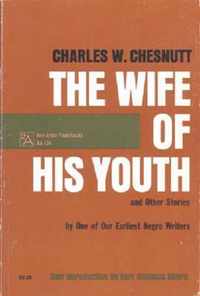 Wife of His Youth and Other Stories