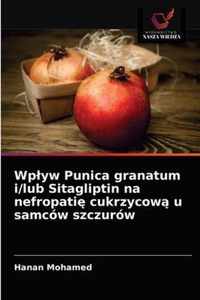 Wplyw Punica granatum i/lub Sitagliptin na nefropati cukrzycow u samcow szczurow