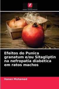 Efeitos do Punica granatum e/ou Sitagliptin na nefropatia diabetica em ratos machos