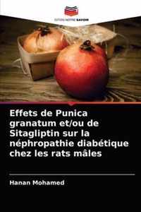 Effets de Punica granatum et/ou de Sitagliptin sur la nephropathie diabetique chez les rats males