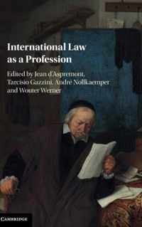 International Law as a Profession