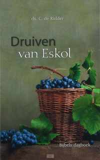 Druiven van eskol