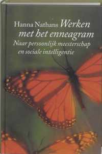 Werken met het enneagram