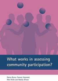 What works in assessing community participation?