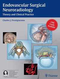 Endovascular Surgical Neuroradiology