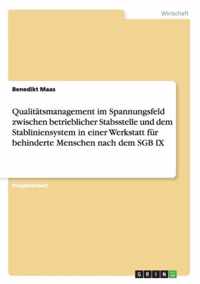 Qualitatsmanagement im Spannungsfeld zwischen betrieblicher Stabsstelle und dem Stabliniensystem in einer Werkstatt fur behinderte Menschen nach dem SGB IX