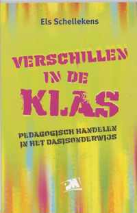 Verschillen In De Klas