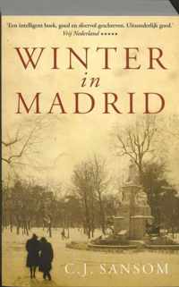 Winter In Madrid