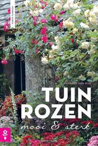 Tuinrozen