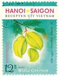 Hanoi Saigon