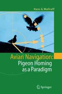 Avian Navigation