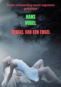 Bengel van een engel - Hans Vogel - Paperback (9789464357325)